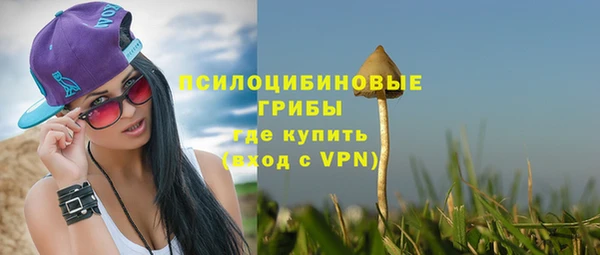 экстази Бородино