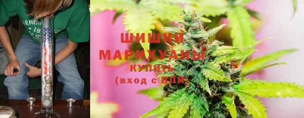 экстази Бородино
